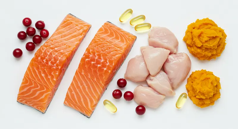 Ingredientes naturais usados em rações premium para gatos
